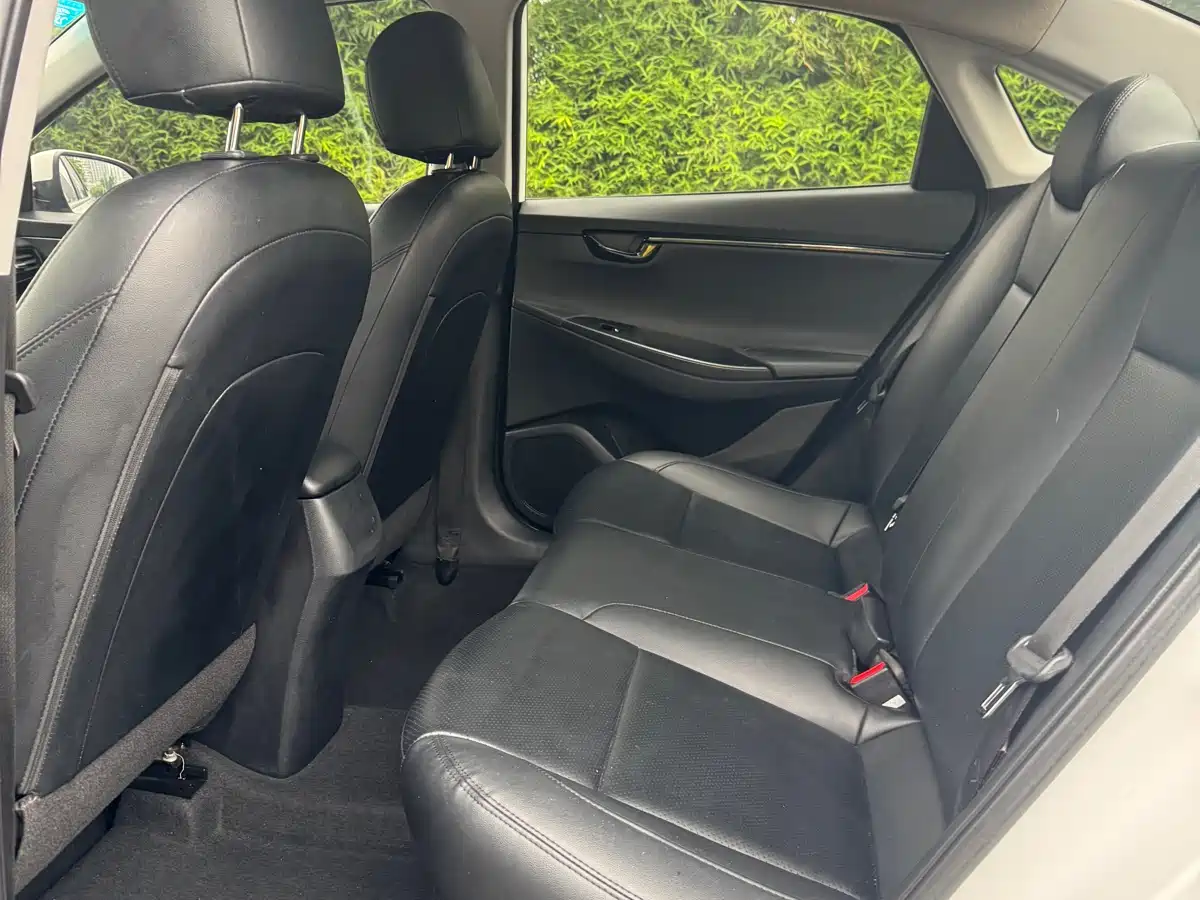 Hyundai Elantra 2018 1.6L Automatic Pleasing Edition GL China VI фото 5