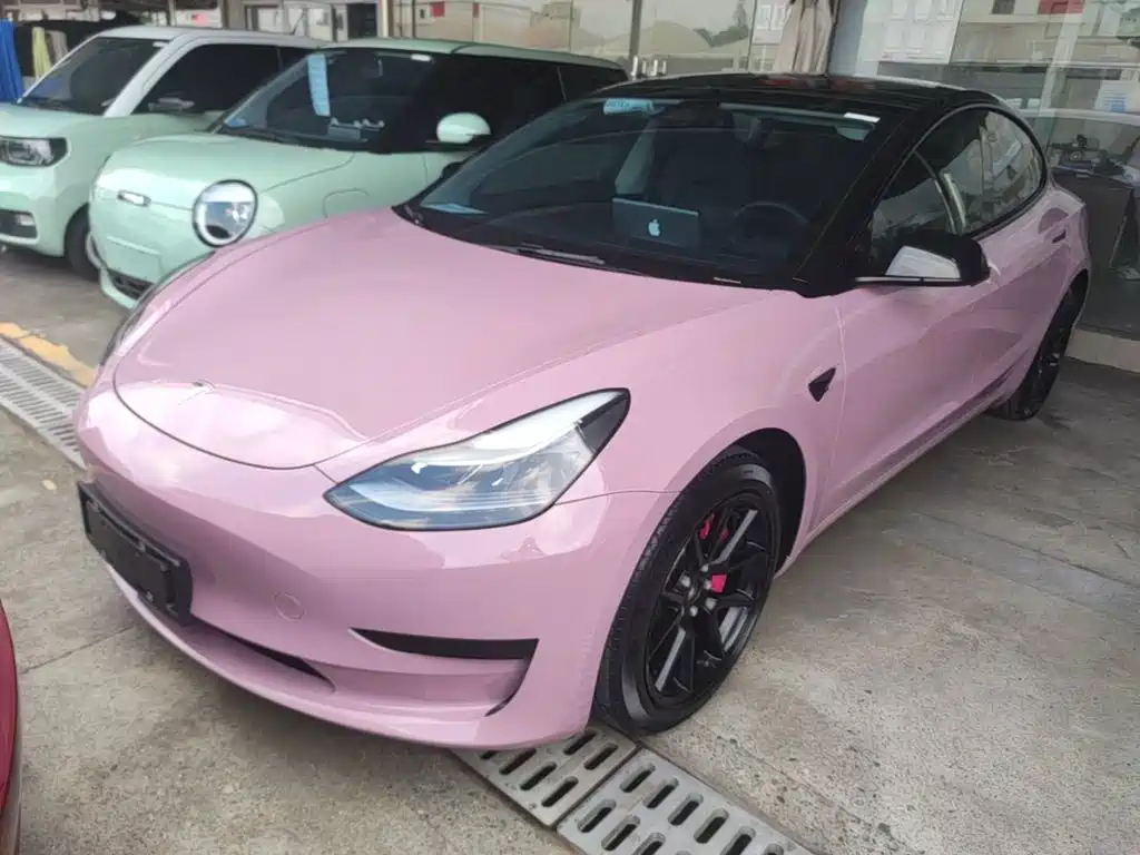 Tesla Model 3 2022