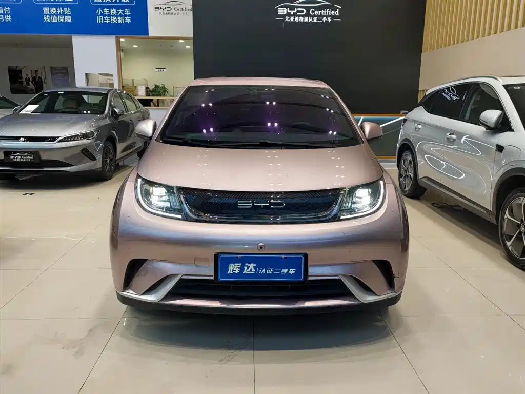 BYD DOLPHIN
