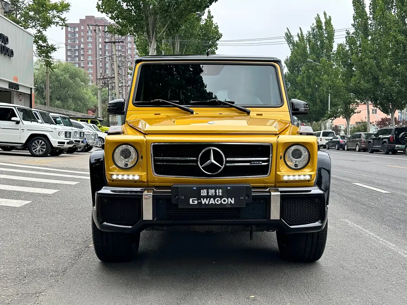 Mercedes-Benz G-Class AMG 2015 AMG G 63 Off-Road Limited Edition фото 4