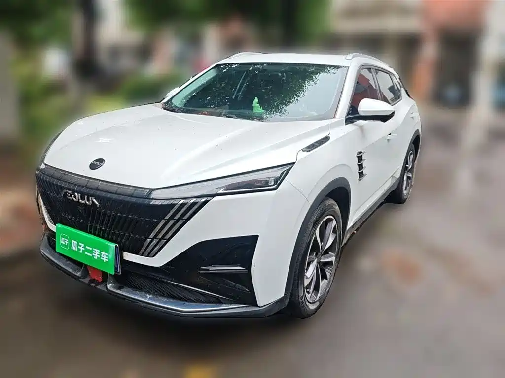  Dongfeng Aeolus Haohan 2023 1.5T Luxury Edition