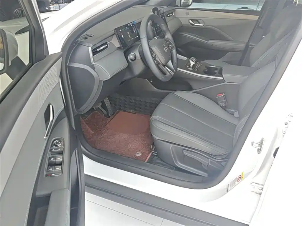 BYD Qin PLUS 2025 DM-i Smart Drive 55KM Leader фото 16
