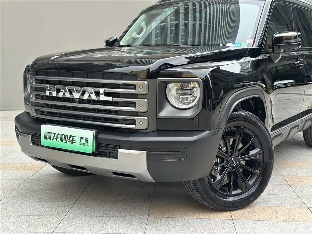 HAVAL RAPTORS NEW ENERGY