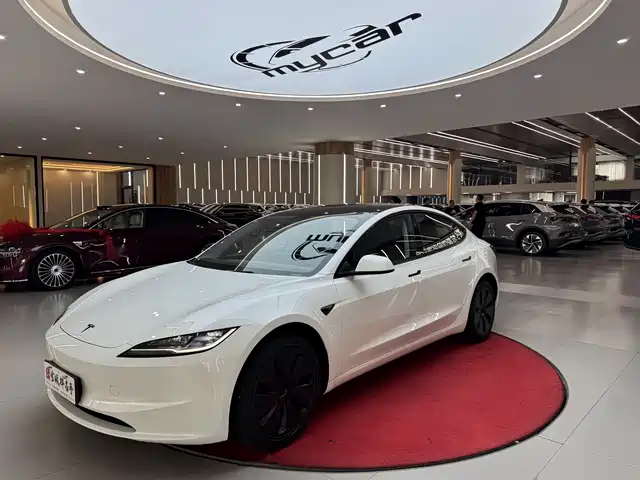 Tesla Model 3 2025