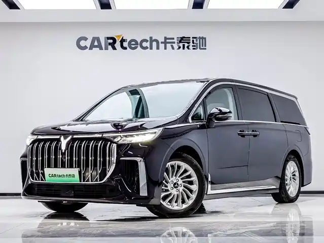 Voyah Auto Voyah Dreamer 2024