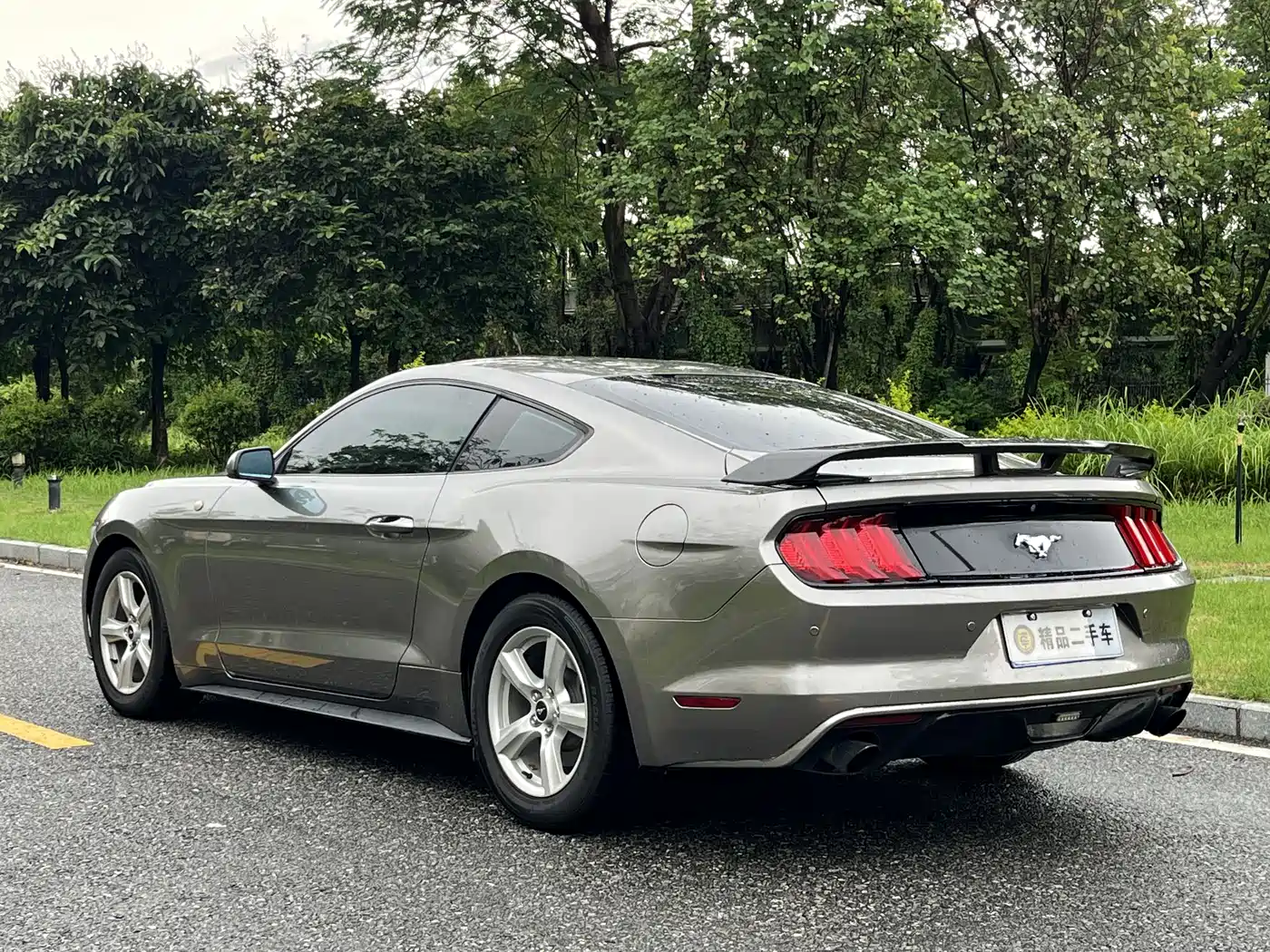 Ford Mustang 2015 2015 2.3T 50th Anniversary Edition