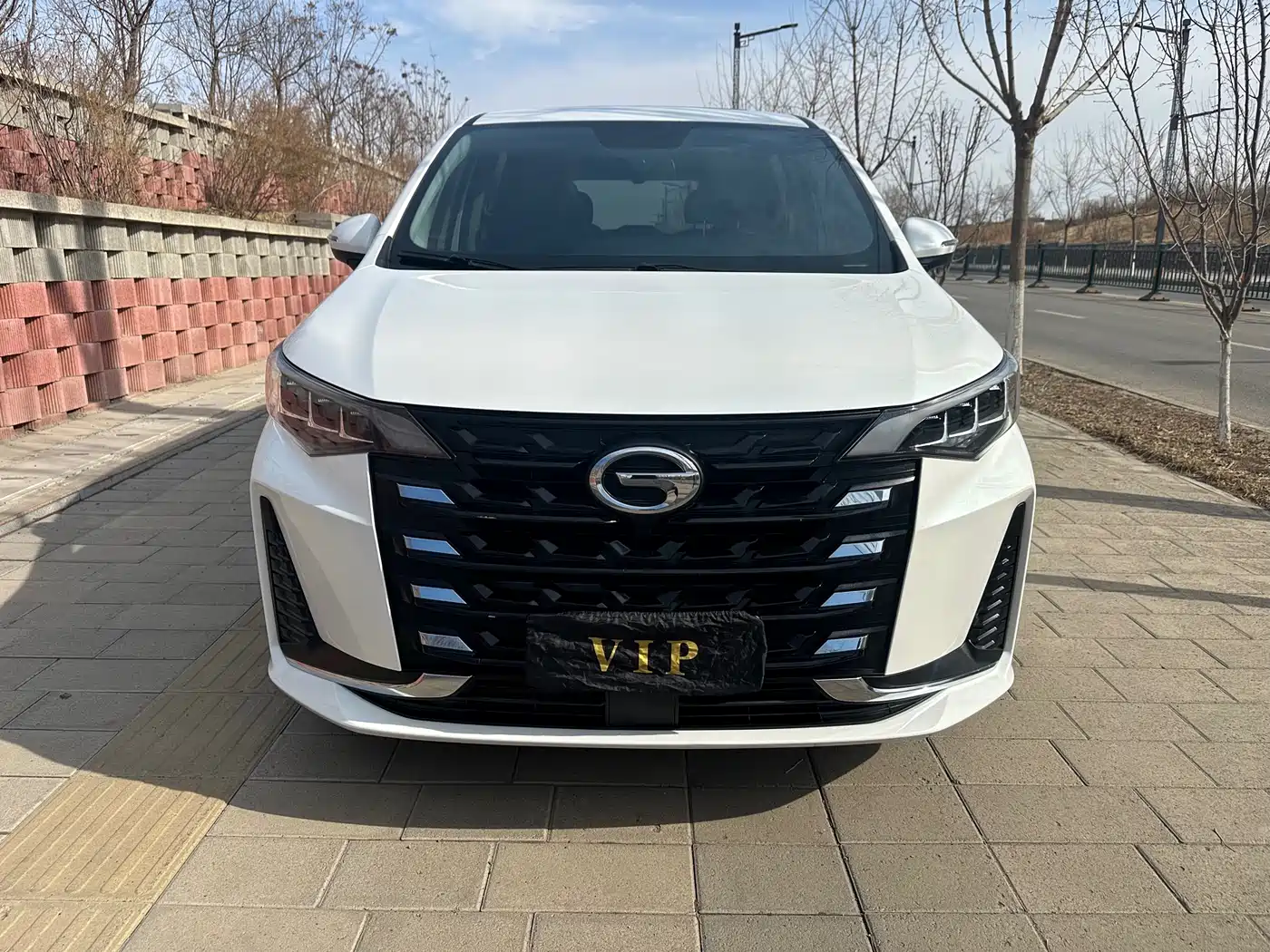GAC TRUMPCHI M6