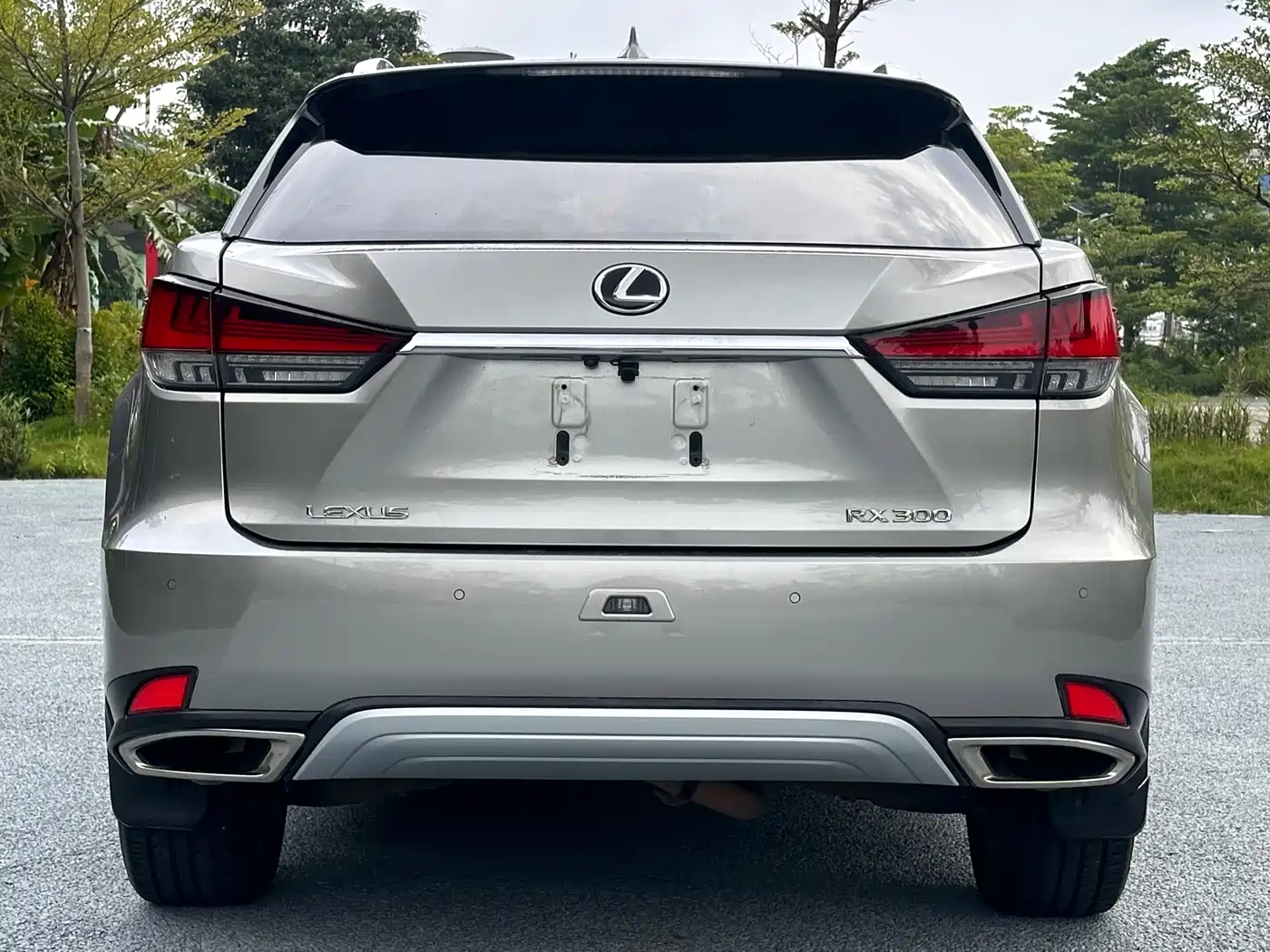 LEXUS RX