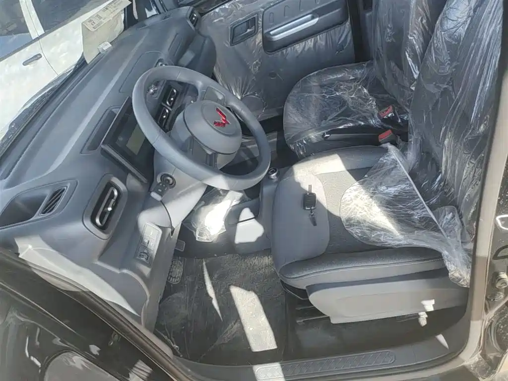Wuling Motors Wuling Zhiguang NEV 2026 2025 Standard Version