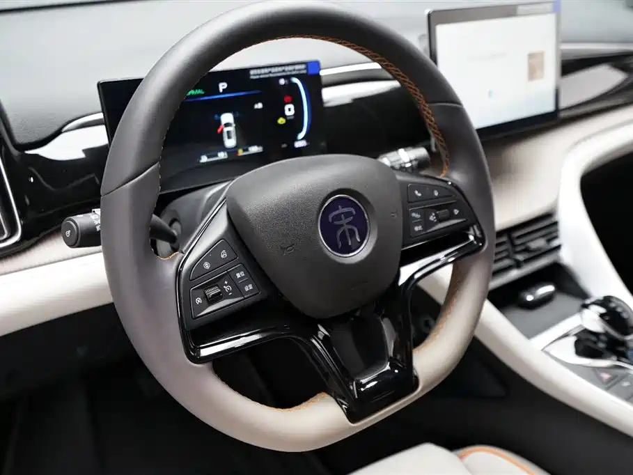 BYD Song Pro New Energy 2024 Glory Edition DM-i 71KM Pilot фото 7
