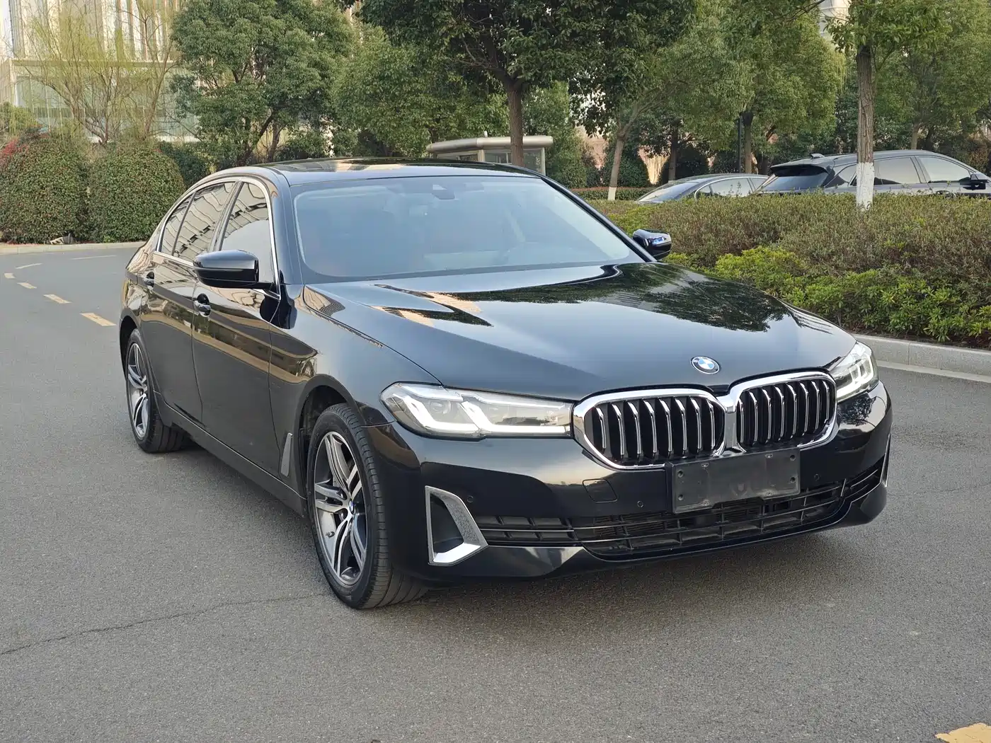 BMW 5 Series 2021 530Li Leading Luxury Package фото 3