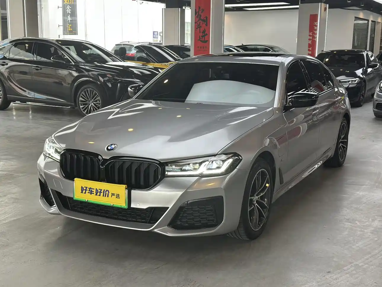 BMW 5 SERIES NEW ENERGY