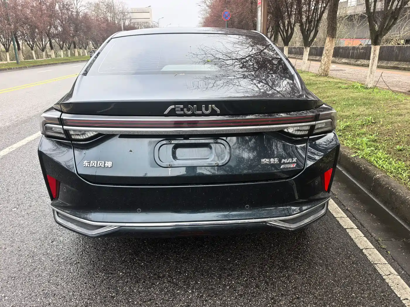 DONGFENG YI HYUN MAX