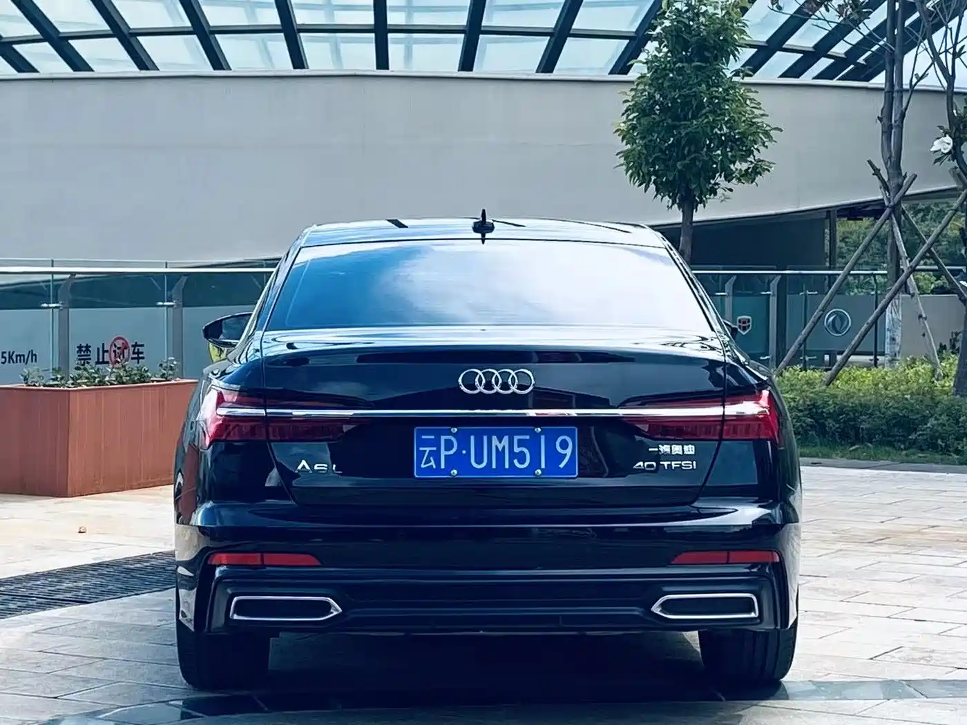 Audi A6L 2020 40 TFSI Luxury Dynamic фото 8