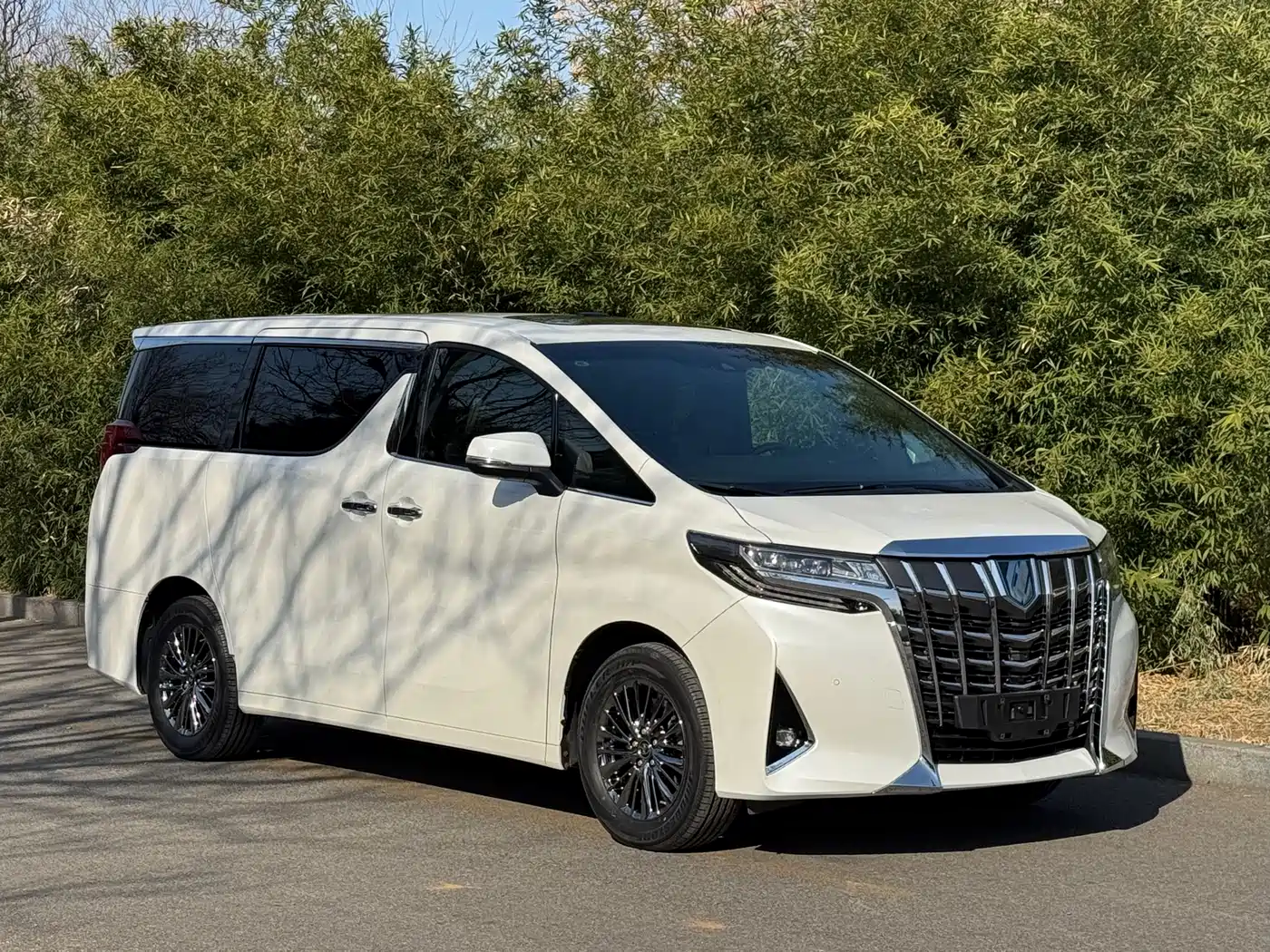 Toyota Alphard 2019 Hybrid 2.5L Premium Edition фото 3