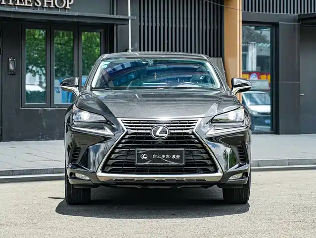 Lexus NX 2020 200 FWD Sharp Edition China V