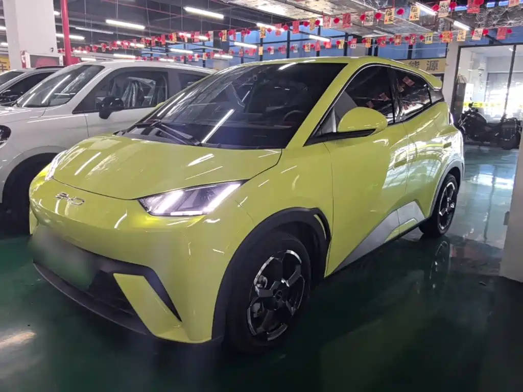 BYD Seagull 2024