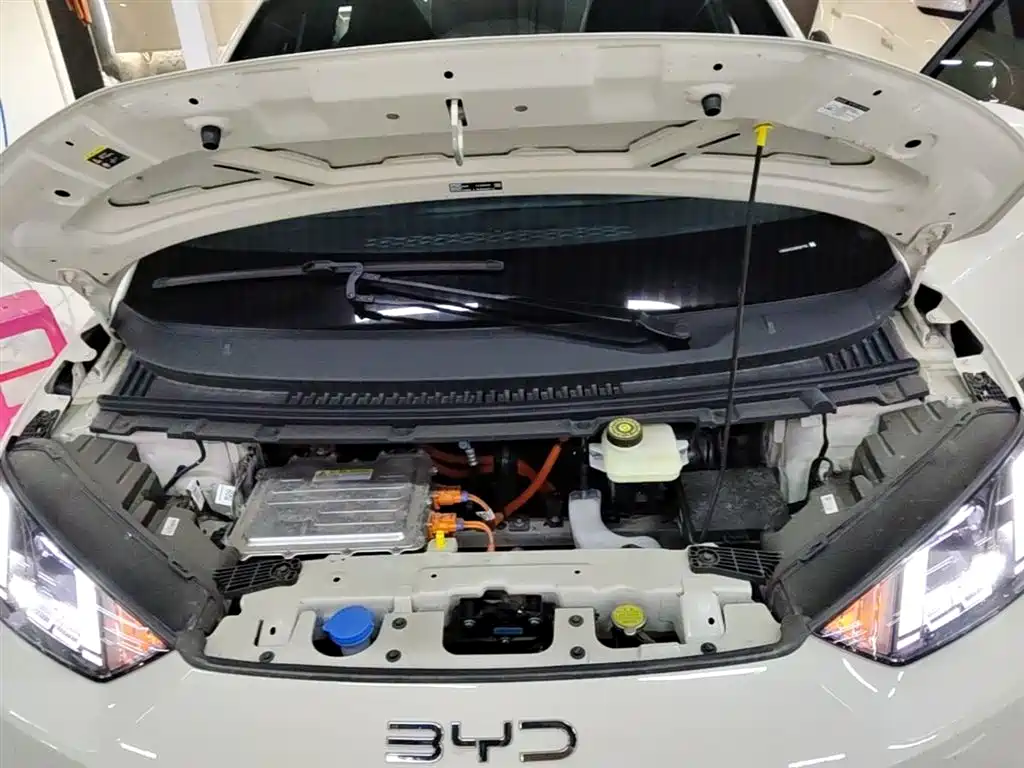 BYD Seagull 2025 Smart Drive Edition 305km Freedom Version фото 20
