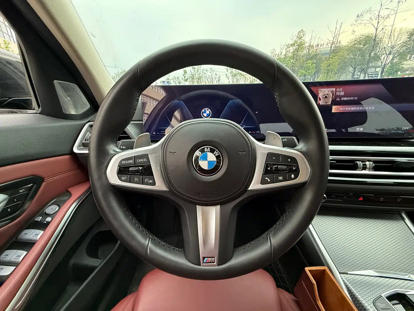 BMW 3 Series 2023 325Li M Sport Black Night Package фото 7