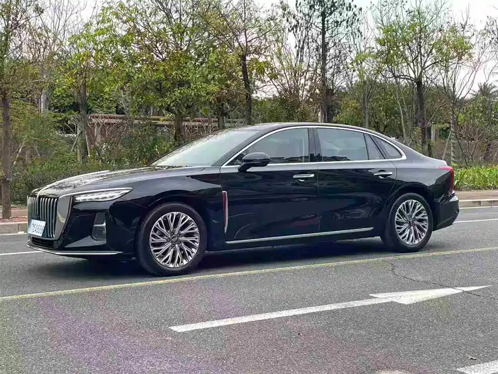 Hongqi H5 2023 2.0T Auto Smart Connect Flag Comfort фото 3