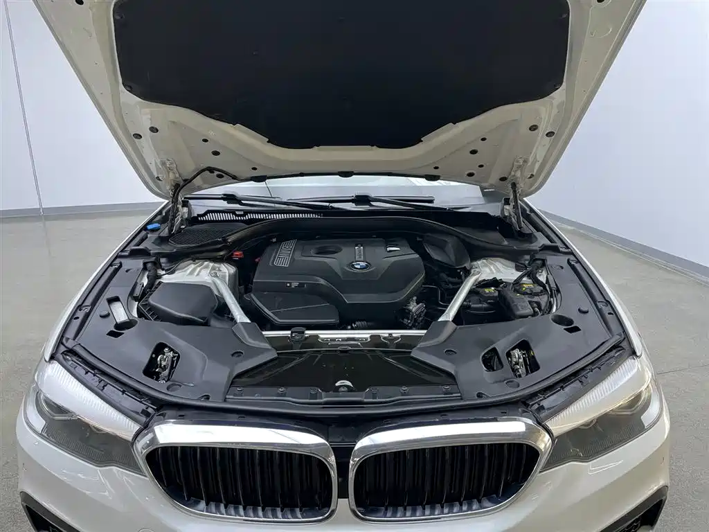 BMW 5 Series 2020 525Li M Sport Package фото 12