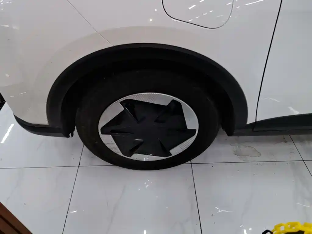 Geely Geometry E Firefly 2024 2024 401km Starlight