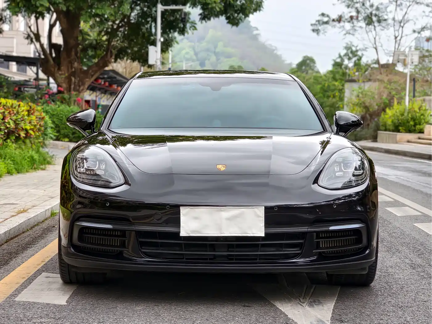 Porsche Panamera 2019 Panamera 2.9T фото 2
