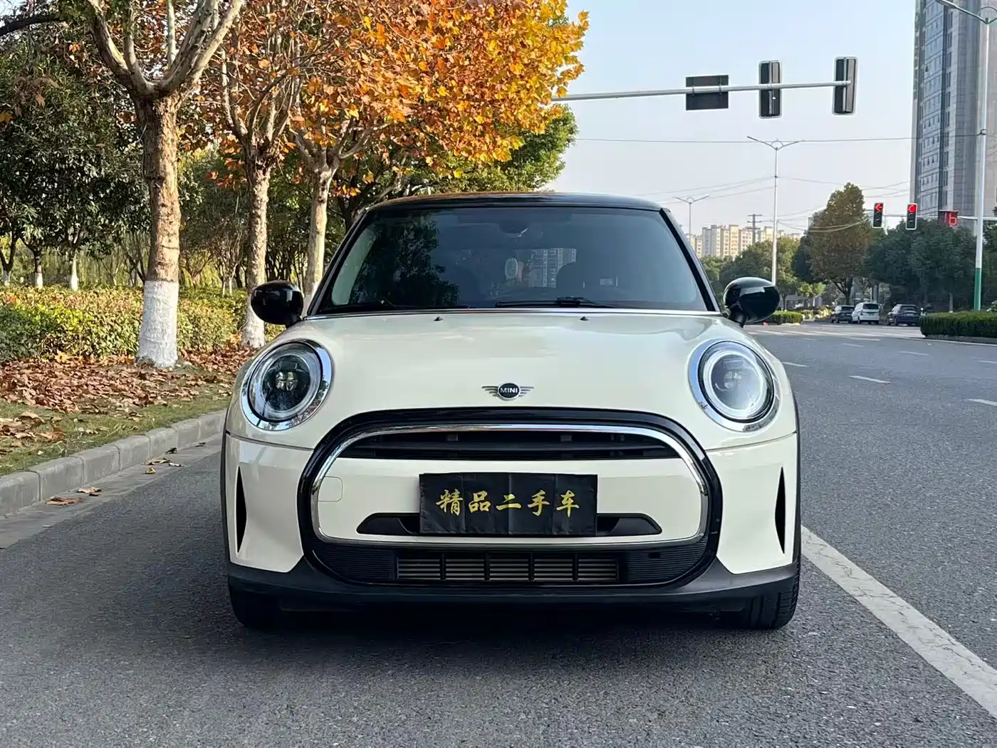 MINI 2021 1.5T ONE фото 2