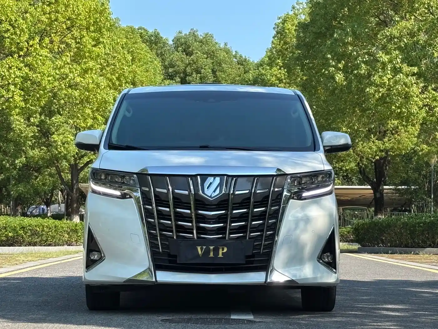 Toyota Alphard 2019 Hybrid 2.5L Luxury фото 2