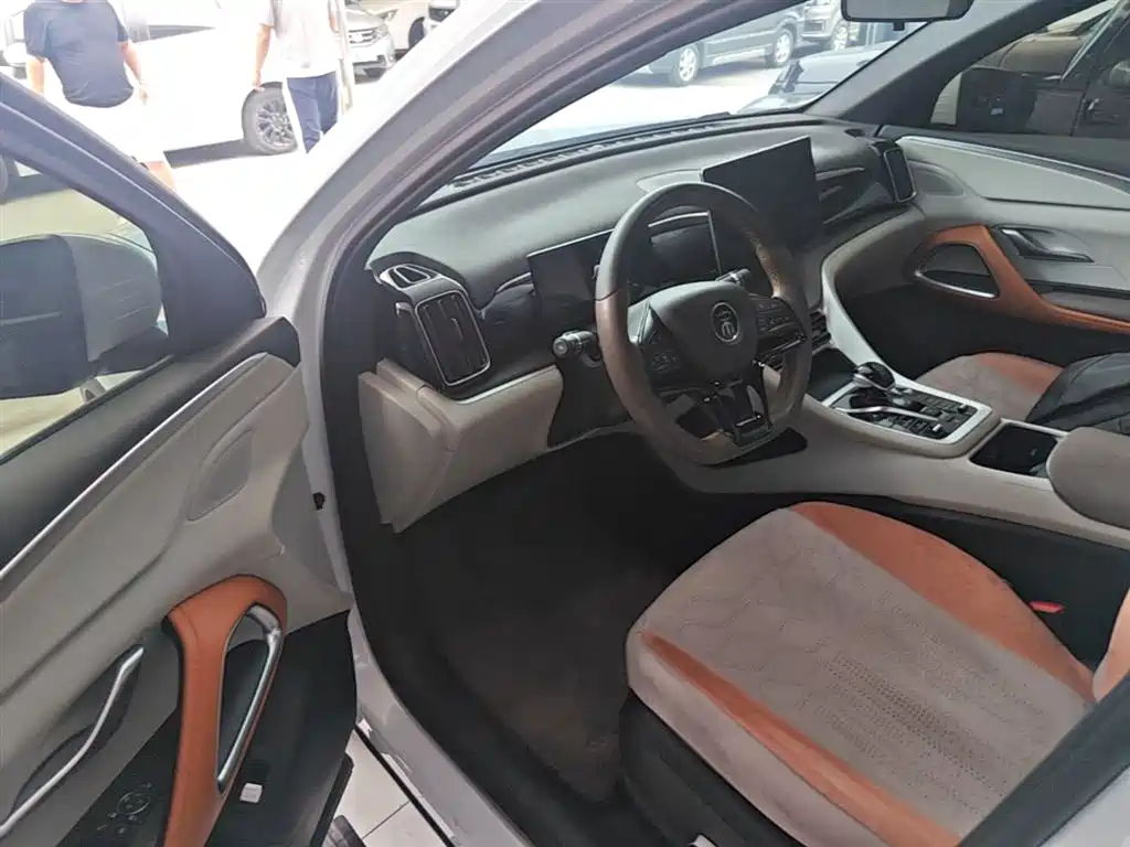 BYD Song Pro New Energy 2022 DM-i 51km Premium фото 16