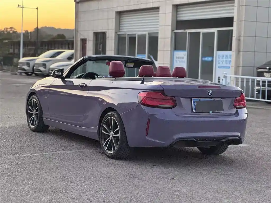 BMW 2 Series (Import) 2018 220i Convertible Coupe Sport Design Package фото 23