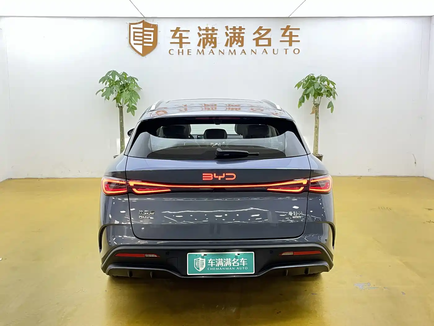 BYD Seal 06 DM-i Touring 2025 DM-i 150KM Flagship фото 10