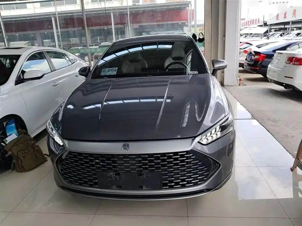BYD Qin PLUS 2024 Glory Edition DM-i 55KM Leading фото 3