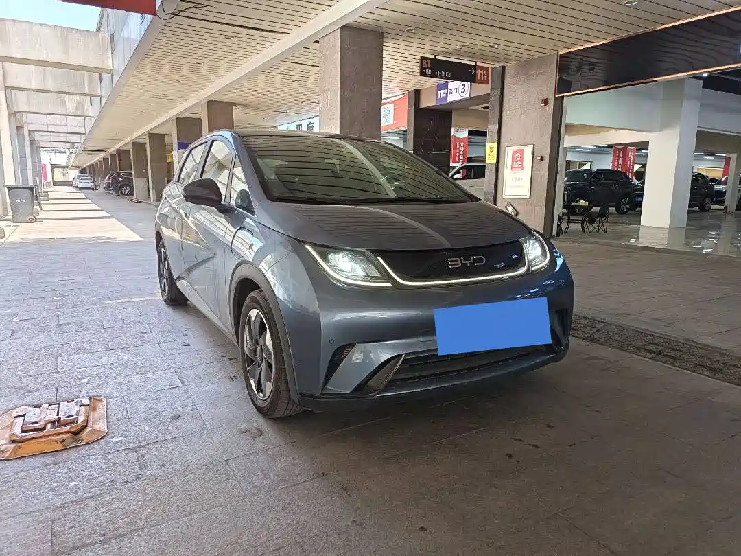 BYD DOLPHIN