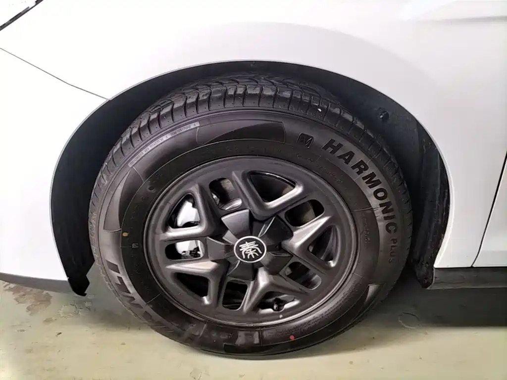BYD Qin PLUS 2025 DM-i Smart Drive 55KM Leader фото 23