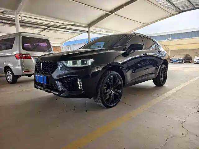 WEI PAI WEI BRAND VV5