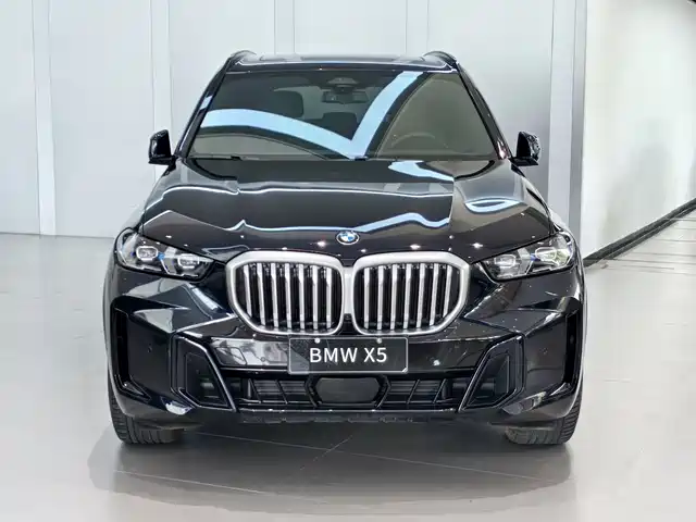 BMW X5 2023 xDrive 40Li M Sport Package — фото 2