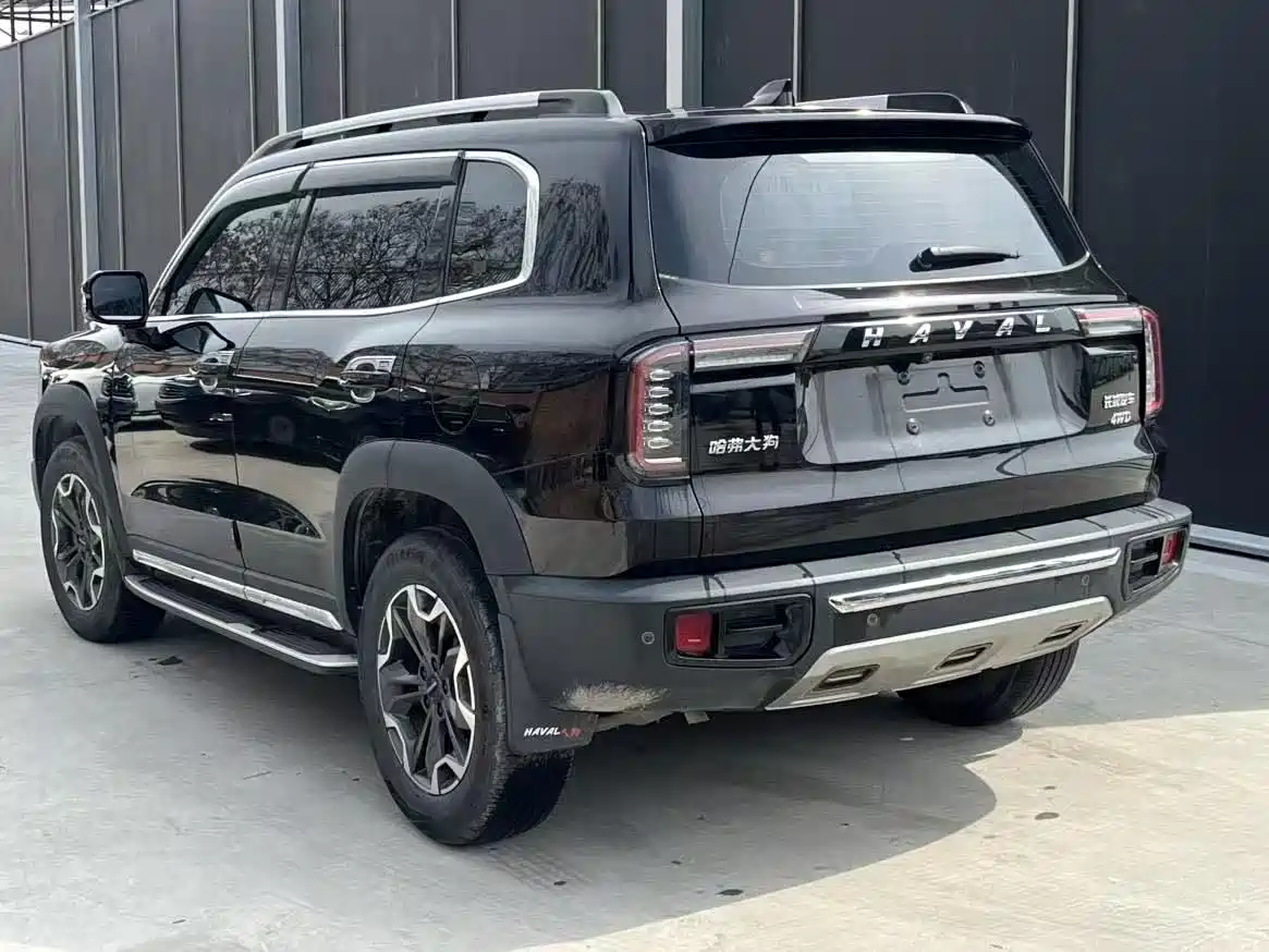 HAVAL BIG DOG