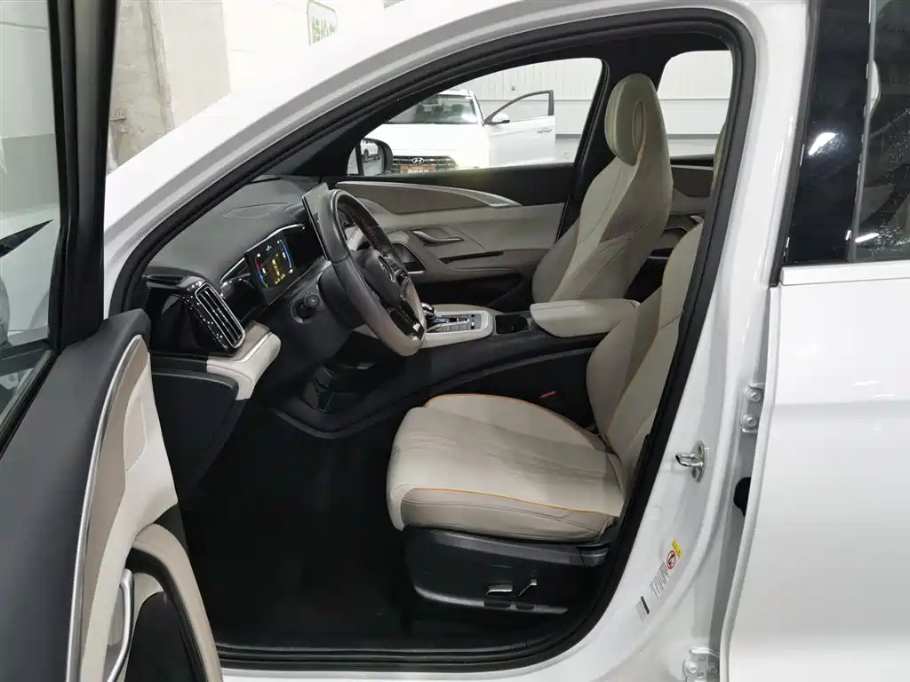 BYD SONGJIANG NEW ENERGY