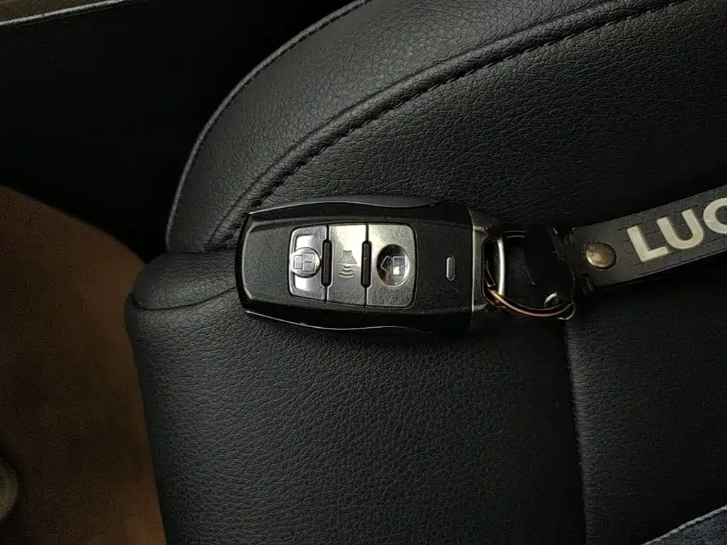 Haval H2 2015 1.5T Automatic 2WD Elite Edition фото 9