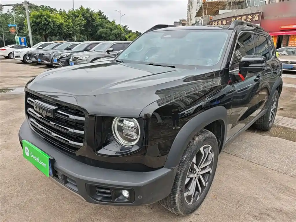 Haval Big Dog 2021 1.5T DCT 2WD Border Collie Edition