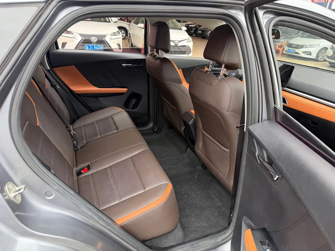 BYD e2 2021 Luxury Edition фото 18