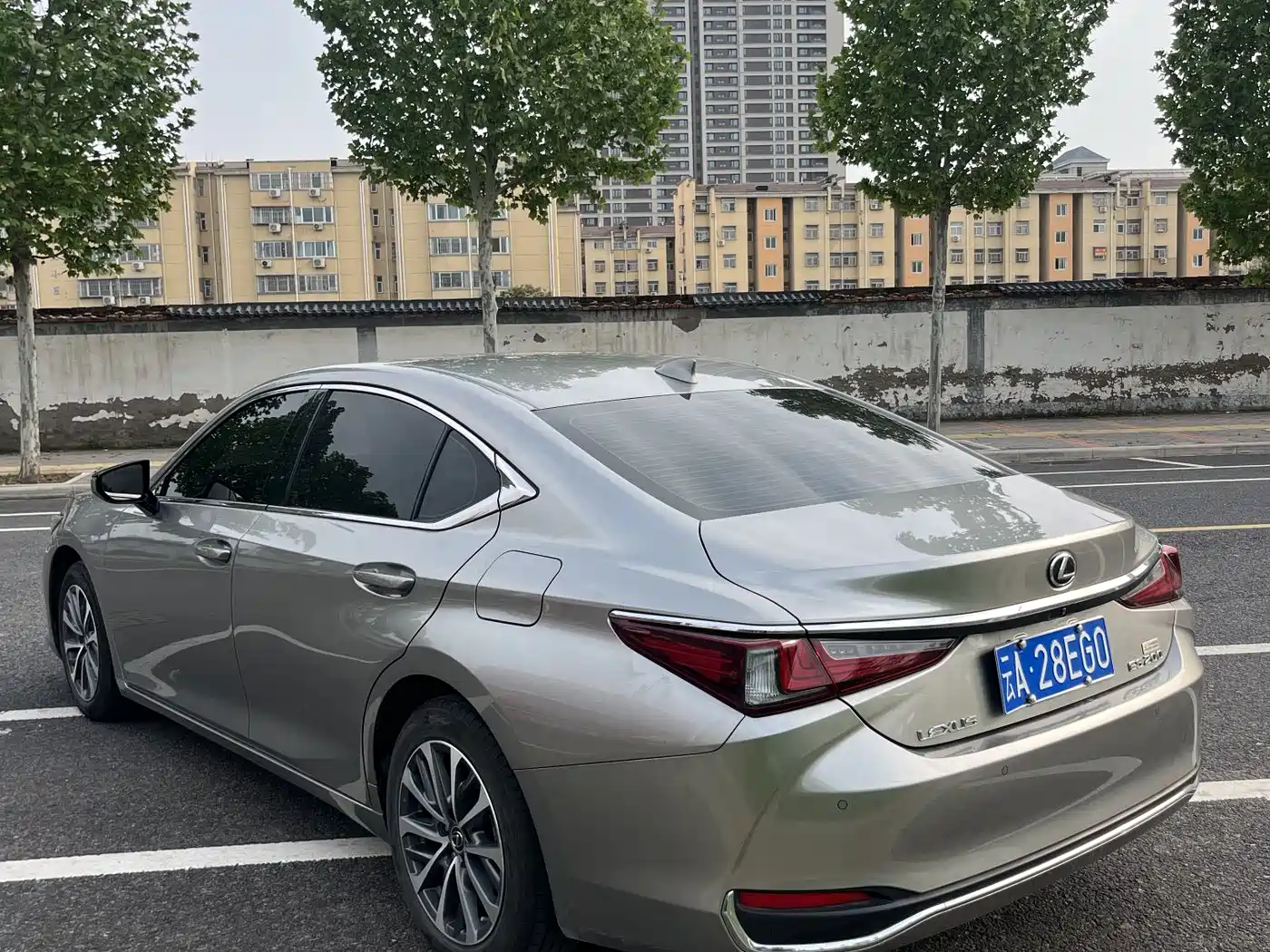 Lexus ES 2024 200 Premium Edition фото 5