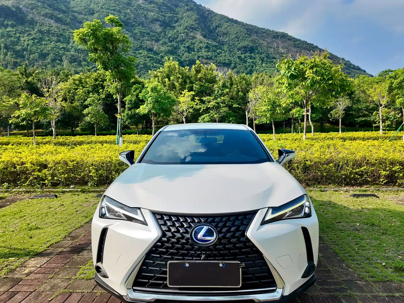 Lexus UX 2019 2019 260h Explorer Cool Edition (China V)