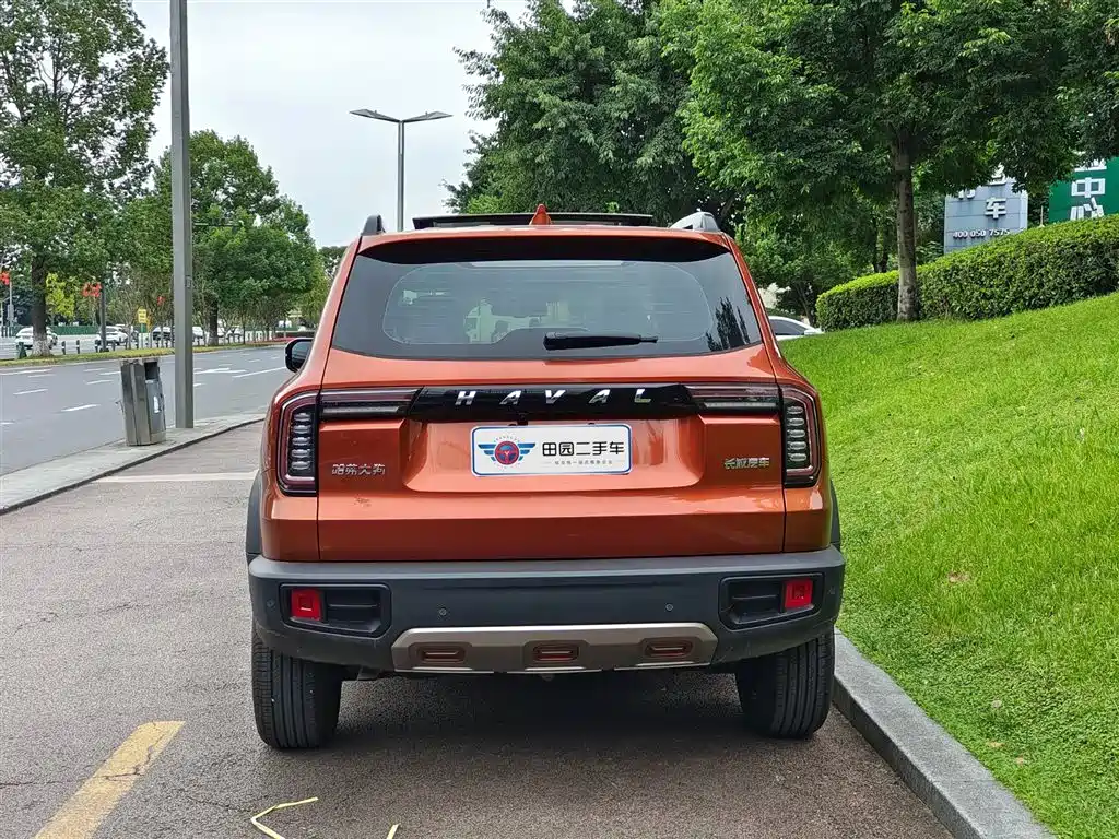 HAVAL BIG DOG