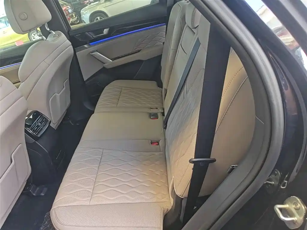 BYD Tang New Energy 2025 Smart Driving Edition DM-i 115KM Flagship фото 17