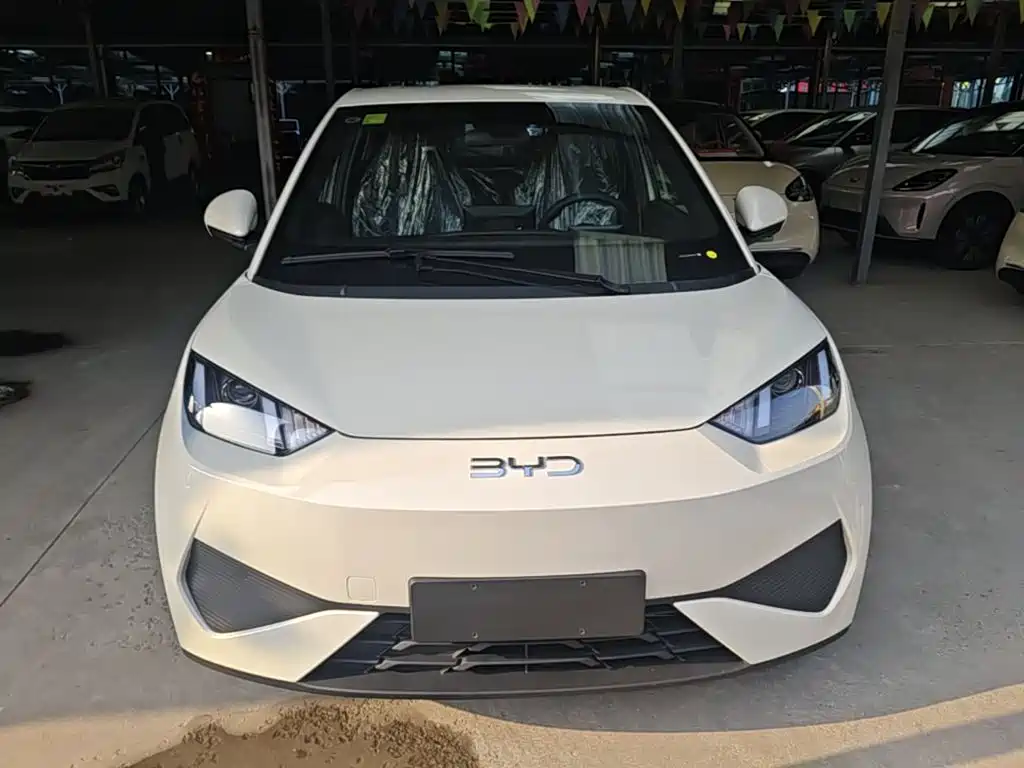BYD Seagull 2026 2025 Smart Drive Edition 305km Vitality Version