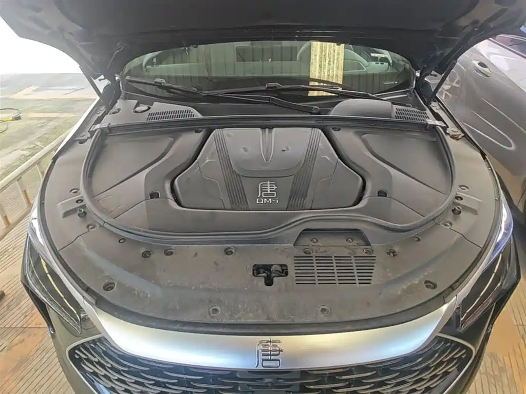 BYD Tang New Energy 2025 Smart Driving Edition DM-i 115KM Flagship фото 20
