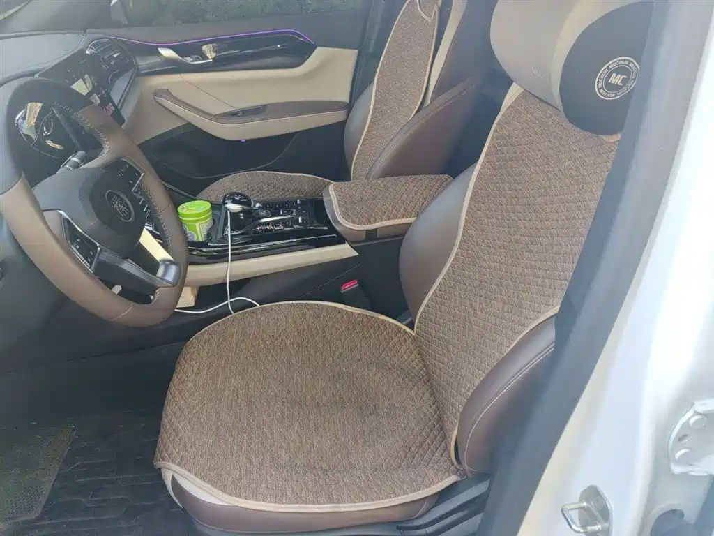 BYD Qin PLUS 2023 Champion Edition DM-i 55KM Leading фото 8
