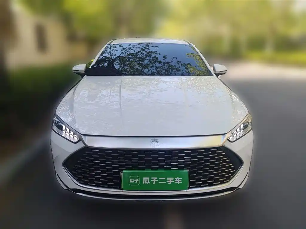 BYD Qin PLUS 2023 Champion Edition DM-i 55KM Leading фото 24